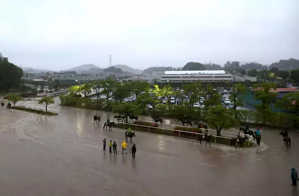 【宝塚記念】ミュージアムマイルはレーン騎手との１週前追い切りを暴風雨で延期　木曜日に改めてレーン騎手騎乗