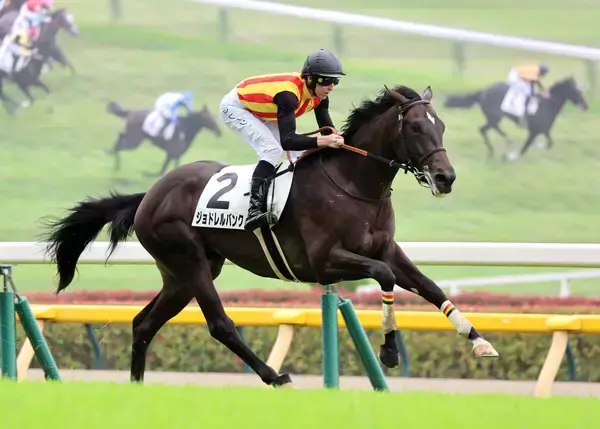 【ＰＯＧ】新馬戦快勝の大物候補ジョドレルバンクが放牧へ　武井調教師「特に脚元も問題なく、メンタルも...」