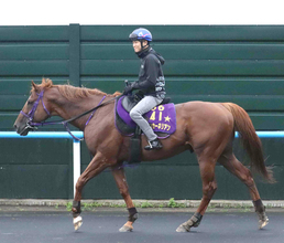 日曜札幌競馬場の注目激走馬…札幌１１Ｒキーンランドカップ・Ｇ３