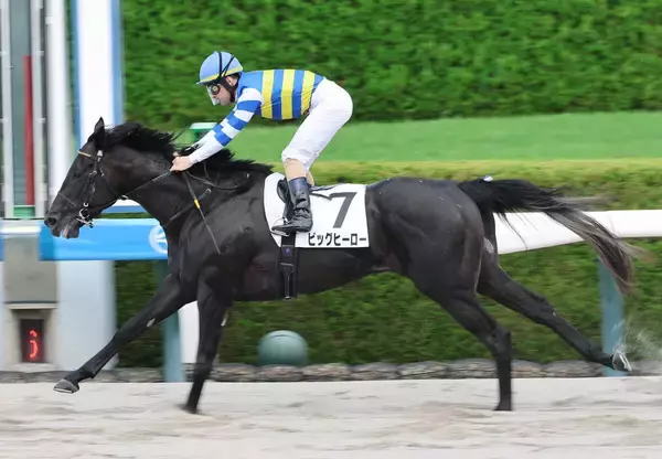 【阪神６Ｒ】超堅実派が「ラスト未勝利」で驚きの３馬身差Ⅴ　「上のクラスでも」ルメール騎手高評価のビッグヒーロー