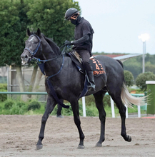 【毎日王冠】津村明秀騎手「３、４コーナーから少し…」１番人気リアライズシリウスまさかの７着　古馬が上位独占