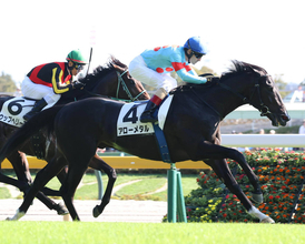 キズナ産駒がＪＲＡ通算１０００勝達成　東京８Ｒでアローメタルが節目のＶ