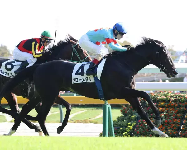 キズナ産駒がＪＲＡ通算１０００勝達成　東京８Ｒでアローメタルが節目のＶ