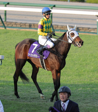 【阪神ＪＦ】「最後は余力がなかった」武豊騎手は３１年ぶりＶならず　マーゴットラヴミー８着で連勝ストップ　