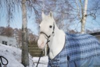 【引退・ハヤヤッコ】白毛のアイドルは変わらぬ人気　右脚もずいぶん回復　年明けにはふれあいイベントに参加