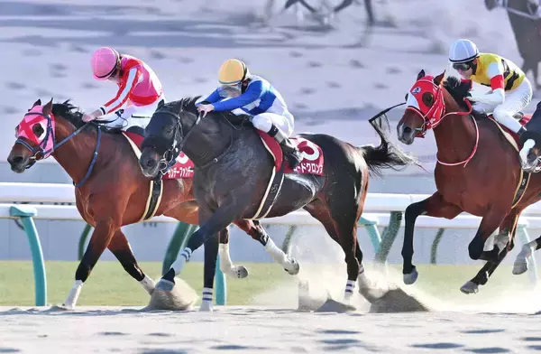 【プロキオンＳ】１１番人気に反発　昨年覇者サンデーファンデーが首差２着に激走「やれることはやりました」角田大和騎手