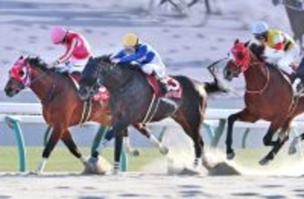 【プロキオンＳ】１１番人気に反発　昨年覇者サンデーファンデーが首差２着に激走「やれることはやりました」角田大和騎手