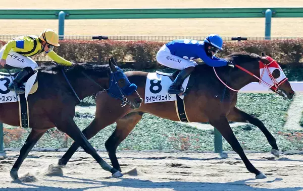 【東京３Ｒ・３歳新馬】母は交流重賞Ｖ　矢作厩舎のタイセイジェイドが力強く抜け出す　松山弘平騎手「強い競馬でした」