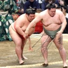 十両・嘉陽が白星発進　一時は減量に成功も　大阪入り後にリバウンド　粉ものの誘惑とも闘う