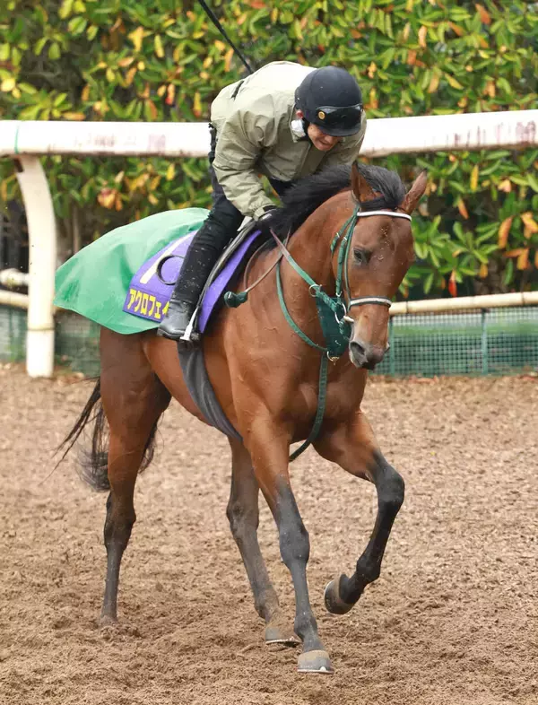 【皐月賞・１週前】スプリングＳ３着アクロフェイズは前走同様に好調　奥村豊調教師「前走と同じ体調で臨めれば十分です」 　