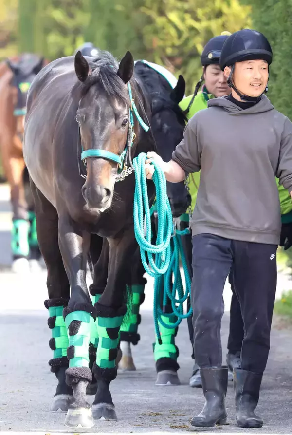 【皐月賞】今度は父へクラシックタイトルを　ホープフルＳ覇者ロブチェンが桜花賞Ｖ松山弘平騎手と巻き返す
