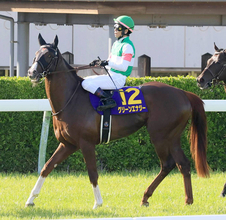【注目馬動向】上原佑調教師「東京２４００メートルはピッタリ」　皐月賞７着のグリーンエナジーはダービーへ