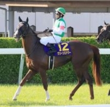 【注目馬動向】上原佑調教師「東京２４００メートルはピッタリ」　皐月賞７着のグリーンエナジーはダービーへ