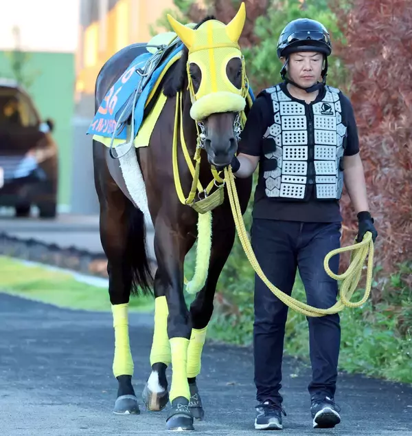 【注目馬動向】さきたま杯２着のウィルソンテソーロは南部杯を目標に　２３、２４年Ｖのレモンポップに続く連覇を狙う