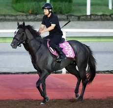 【ローズＳ】ナムラコスモスは前走大敗から逆襲に燃える　大橋調教師「今回は走り慣れた舞台になるからね」