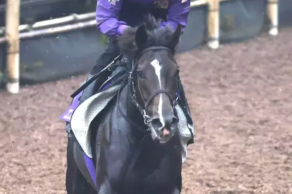【菊花賞・土曜気配】５・９億円馬エムズビギンが最高価格勝利記録更新へ　陣営「自分のリズムで行けるかどうか」