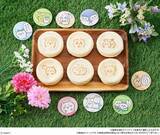 「ファミマ「ちいかわマスキングテープ」店頭プレゼント、うさぎ・ハチワレ・シーサー・ラッコなどデザイン、対象のお菓子購入で/ファミリーマート「ちいかわ むちゃうマーケット大総力祭」」の画像6