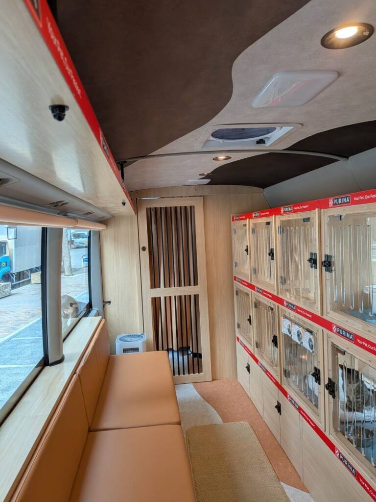 「ネコのバス」新車両を公開、「猫の日」に向け三宮で譲渡会【ネスレ ピュリナ】