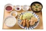 「やよい軒「鶏皮餃子と鶏竜田揚げの定食」発売/ぽん酢･辛子味噌･オリジナルスパイスで味変も」の画像1