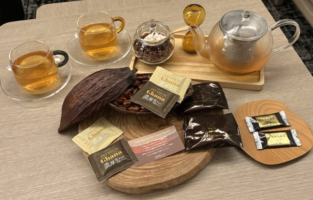 【ロッテ】カカオポッドの価値創出へ、グループ横断で挑む 第1弾はホテル客室「Cacao Room」