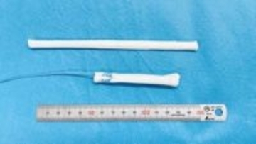 【日本ハム】ウシ由来靭帯デバイス開発のCTBE社に出資、膝前十字靭帯断裂などのスポーツ医療の課題解決を支援