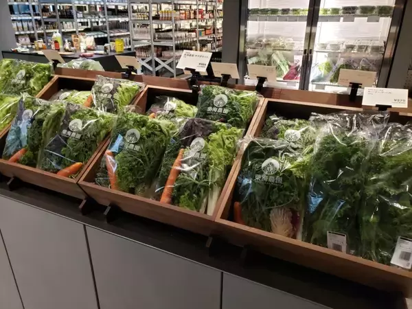 「「ニュウマン高輪 ミムレ」オープン、実験的な食の提案など」の画像