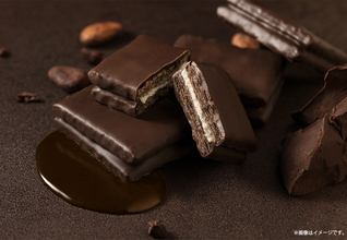 【シュガーバターの木】全面ショコラコーティング仕立ての『炭火ショコラがけサンド』が今季初登場、バレンタイン限定パッケージも店頭発売開始