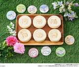 「ファミマ「ちいかわ缶バッチ」店頭プレゼント、うさぎ・ハチワレ・シーサーなど、チョコラBB購入で/ファミリーマート「ちいかわ むちゃうマーケット大総力祭」」の画像5