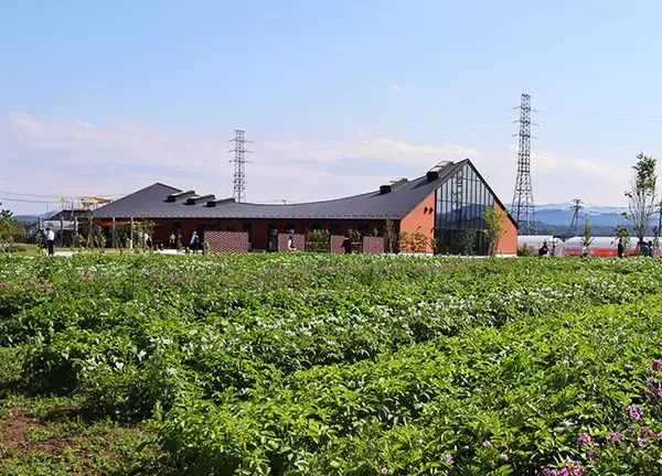 キユーピー 野菜の魅力を発信する「深谷テラス」5月29日開業、収穫体験や地元産にこだわるレストラン、マルシェも