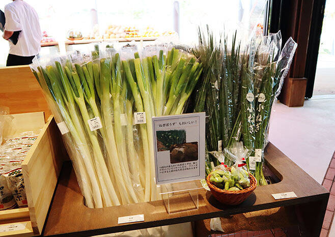 キユーピー 野菜の魅力を発信する「深谷テラス」5月29日開業、収穫体験や地元産にこだわるレストラン、マルシェも