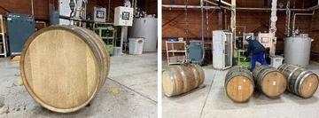 ニッカウヰスキー「希望の大麦」使用ウイスキー原酒製造、東日本大震災の被災地で栽培、東北の活性化へつなげる