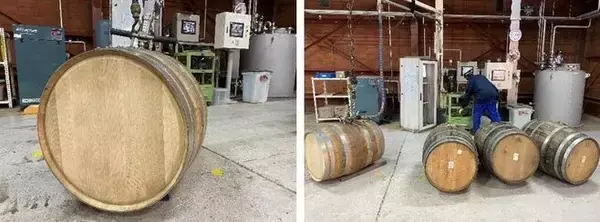 ニッカウヰスキー「希望の大麦」使用ウイスキー原酒製造、東日本大震災の被災地で栽培、東北の活性化へつなげる