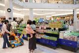 「伊藤園、水出し提案で夏場のリーフ需要喚起へ　越谷レイクタウンで「ICE GREEN TEA FEST.」開催」の画像1