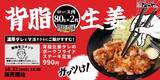 「松のや「背脂生姜タレのポークフライドステーキ定食」新発売、濃厚ダレ×マヨネーズのスタミナ定食」の画像2