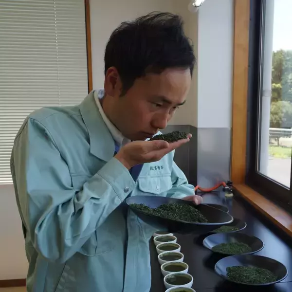 「ファミマ限定「冷やして食べる とろけるくりーむパン 出雲抹茶」販売開始、とろけるクリームと濃厚抹茶ソースの2層仕立て」の画像