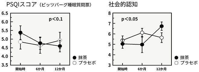 “抹茶の継続摂取による睡眠の質向上と社会的認知機能の改善を確認”伊藤園・MCBIが国際会議で発表