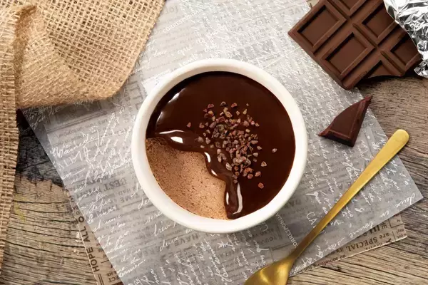 【井村屋】『SHALILI チョコレートアイス』発売、チョコレートのコクとすっきりとした後味、多彩な食感が楽しめる