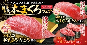 大とろ390円、中とろ280円「国産天然本まぐろ」フェア開催 / 「天然だしうどん」は150円で販売【くら寿司】