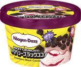 「ハーゲンダッツが2026年方針を発表、売上高1%増の560億円を計画し「今年も過去最高売上を目指す」 / 新商品は『ROCKY CRUNCHY!』など」の画像4