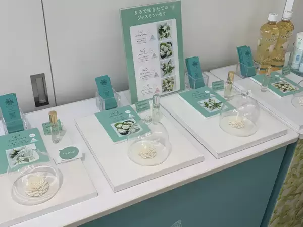 「「お茶の伊藤園」が新たに香水事業を展開　“ジャスミンに夢中”の社員が新会社設立」の画像