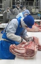 スターゼンG、加世田工場で「第1回豚マイスターグランドチャンピオン大会」開催　優勝は三沢ポークセンターの中村氏、次世代への技術の継承とモチベーションアップへ