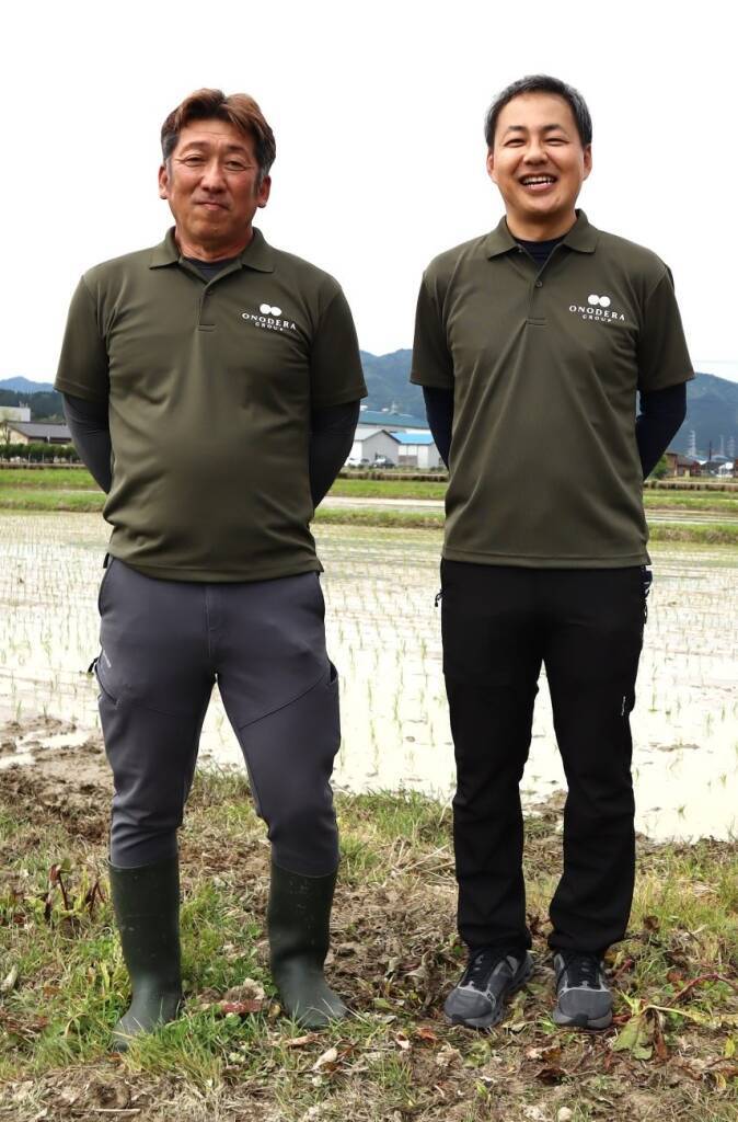 ONODERA GROUP、新潟で38haの稲作事業 地元農家を雇用、初年度200トン計画