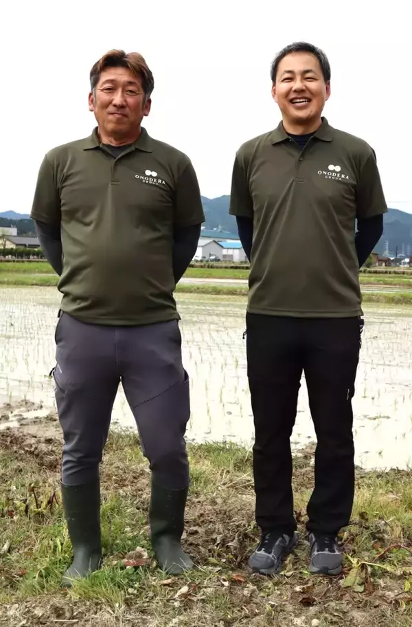 「ONODERA GROUP、新潟で38haの稲作事業 地元農家を雇用、初年度200トン計画」の画像