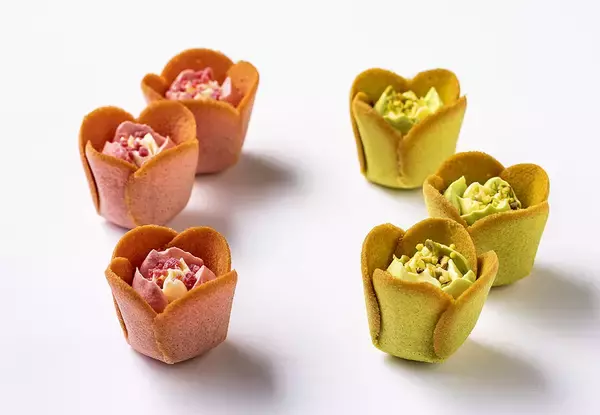 『WICKED(ウィキッド)』とコラボしたスペシャルボックス発売!“エメラルドシティ”を目指すエルファバとグリンダをデザイン【TOKYO TULIP ROSE】