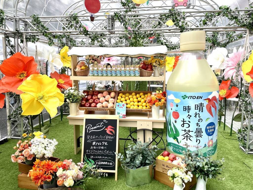 日本茶のフルーツティー「晴れのち曇り時々お茶」発売、「渋谷キャスト」で無料配布イベント/伊藤園