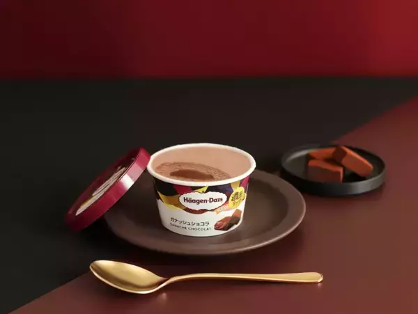 「なめらかで濃密なガナッシュを層状に入れたアイス「ガナッシュショコラ」、ミニカップ定番品に仲間入り【ハーゲンダッツ】」の画像