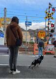 「犬の散歩を“しながら”地域を“見守る”「わんわん見守り隊」、活動エリアを兵庫県全域に拡大」の画像1
