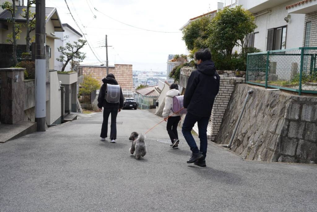 犬の散歩を“しながら”地域を“見守る”「わんわん見守り隊」、活動エリアを兵庫県全域に拡大