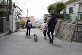 「犬の散歩を“しながら”地域を“見守る”「わんわん見守り隊」、活動エリアを兵庫県全域に拡大」の画像2