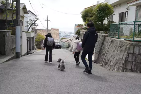 「犬の散歩を“しながら”地域を“見守る”「わんわん見守り隊」、活動エリアを兵庫県全域に拡大」の画像